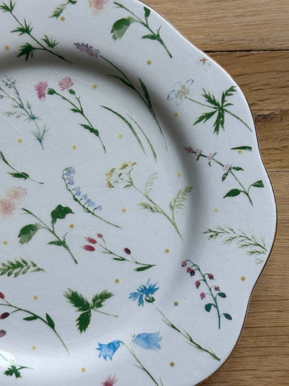 NWOT Ashland Floral Meadow Ceramic Dinner Plate - Floral Print & Golden Trim - Picture 6 of 6